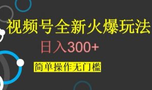 视频号最新爆火玩法,日入300+,简单操作无门槛【揭秘】-葛仙仙资源库