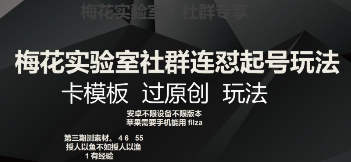 梅花实验室社群连怼起号玩法，卡模板过原创玩法【揭秘】-葛仙仙资源库