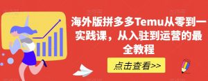 海外版拼多多Temu从零到一实践课,从入驻到运营的最全教程-葛仙仙资源库