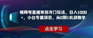 视频号直播带货冷门玩法，日入1000+，小白专属项目，从0到1实战教学【揭秘】-葛仙仙资源库