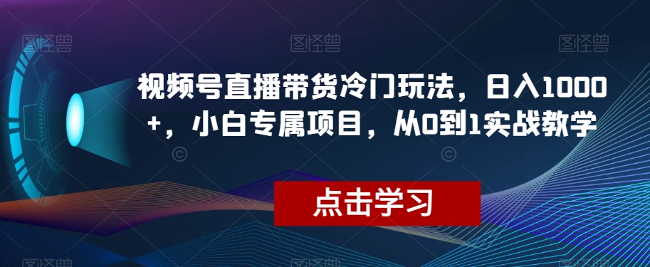 视频号直播带货冷门玩法，日入1000+，小白专属项目，从0到1实战教学【揭秘】-葛仙仙资源库