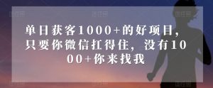 单日获客1000+的好项目,只要你微信扛得住,没有1000+你来找我【揭秘】-葛仙仙资源库