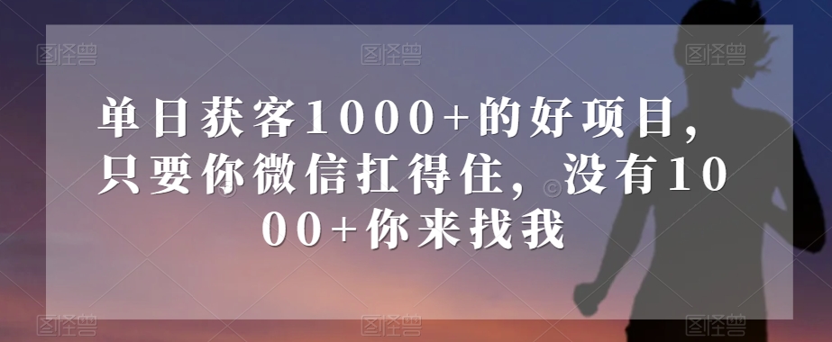 单日获客1000+的好项目，只要你微信扛得住，没有1000+你来找我【揭秘】-葛仙仙资源库
