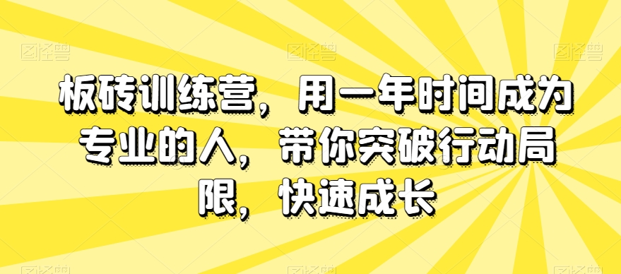 板砖训练营，用一年时间成为专业的人，带你突破行动局限，快速成长-葛仙仙资源库
