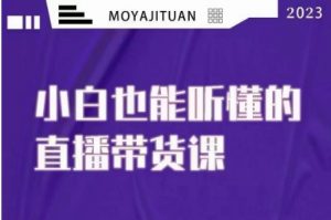大威本威·能听懂的直播带货课,小白也能听懂,20节完整-葛仙仙资源库