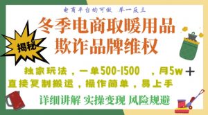 利用电商平台冬季销售取暖用品欺诈行为合理制裁店铺，单日入900+【仅揭秘】-葛仙仙资源库