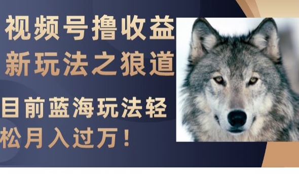 视频号撸收益新玩法之狼道，目前蓝海玩法，轻松月入过万【揭秘】-葛仙仙资源库