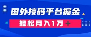 通过国外接码平台掘金：成本1.3，利润10＋，轻松月入1万＋【揭秘】-葛仙仙资源库