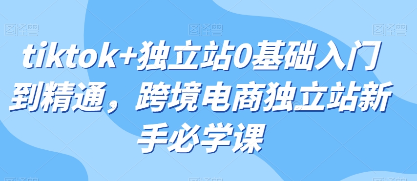 tiktok+独立站0基础入门到精通，跨境电商独立站新手必学课-葛仙仙资源库