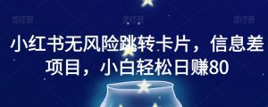 小红书无风险跳转卡片,信息差项目,小白轻松日赚800【揭秘】-葛仙仙资源库