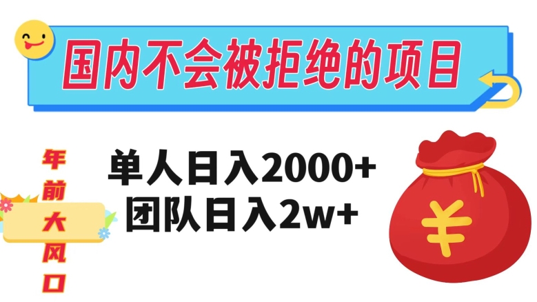 在国内不怕被拒绝的项目，单人日入2000，团队日入20000+【揭秘】-葛仙仙资源库