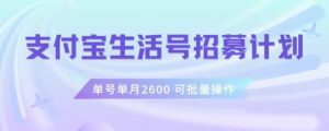 支付宝生活号作者招募计划，单号单月2600，可批量去做，工作室一人一个月轻松1w+【揭秘】-葛仙仙资源库