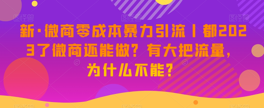 新·微商零成本暴力引流丨都2023了微商还能做？有大把流量，为什么不能？-葛仙仙资源库
