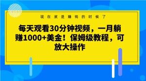 每天观看30分钟视频，一月躺赚1000+美金！保姆级教程，可放大操作【揭秘】-葛仙仙资源库