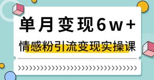 单月变现6W+,抖音情感粉引流变现实操课,小白可做,轻松上手,独家赛道【揭秘】-葛仙仙资源库
