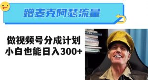 蹭麦克阿瑟热点，做视频号分成计划，小白三分钟一条日入300+【揭秘】-葛仙仙资源库