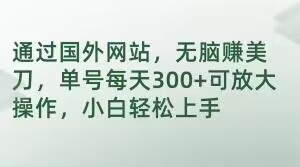 通过国外网站，无脑赚美刀，单号每天300+可放大操作，小白轻松上手【揭秘】-葛仙仙资源库