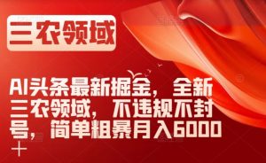 AI头条最新掘金,全新三农领域,不违规不封号,简单粗暴月入6000+【揭秘】-葛仙仙资源库