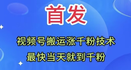 全网首发：视频号无脑搬运涨千粉技术，最快当天到千粉【揭秘】-葛仙仙资源库