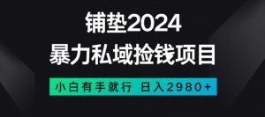 暴力私域捡钱项目,小白无脑操作,日入2980【揭秘】-葛仙仙资源库