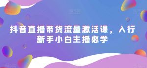 抖音直播带货流量激活课,入行新手小白主播必学-葛仙仙资源库