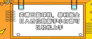 卖莆田篮球鞋,暴利掘金日入四位数新手小白都可以轻松上手【揭秘】-葛仙仙资源库