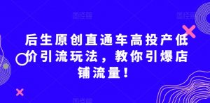 后生原创直通车高投产低价引流玩法，教你引爆店铺流量！-葛仙仙资源库