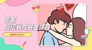 全网首发，揭秘超冷门匿名短信项目，通过信息差日入几百+【揭秘】-葛仙仙资源库