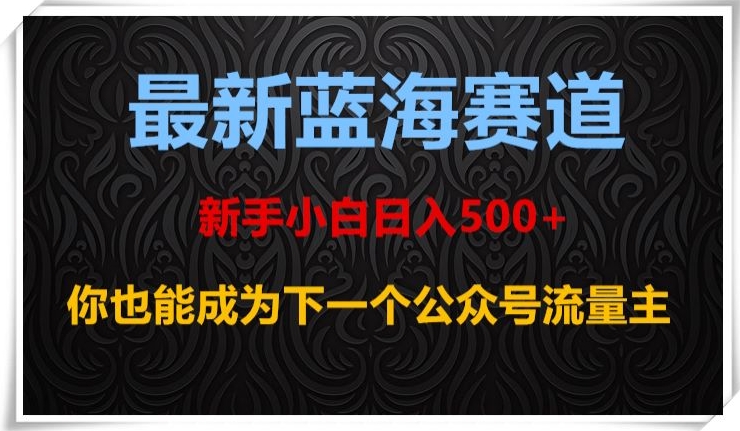 最新蓝海赛道，新手小白日入500+，你也能成为下一个公众号流量主【揭秘】-葛仙仙资源库