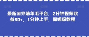 最新国外薅羊毛平台，2分钟视频收益50+，1分钟上手，保姆级教程【揭秘】-葛仙仙资源库
