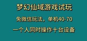 梦幻仙域游戏试玩,免微信玩法,单机40-70,一个人同时操作十台设备【揭秘】-葛仙仙资源库