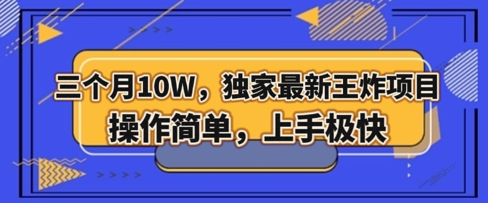 三个月10W，独家最新王炸项目！操作简单，上手极快【揭秘】-葛仙仙资源库