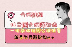 全网独家抖音图文矩阵引流,一招教你玩转公域流量,单号半月涨粉10w+【揭秘】-葛仙仙资源库