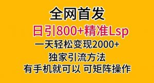 全网首发!日引800+精准老色批,一天变现2000+,独家引流方法,可矩阵操作【揭秘】-葛仙仙资源库
