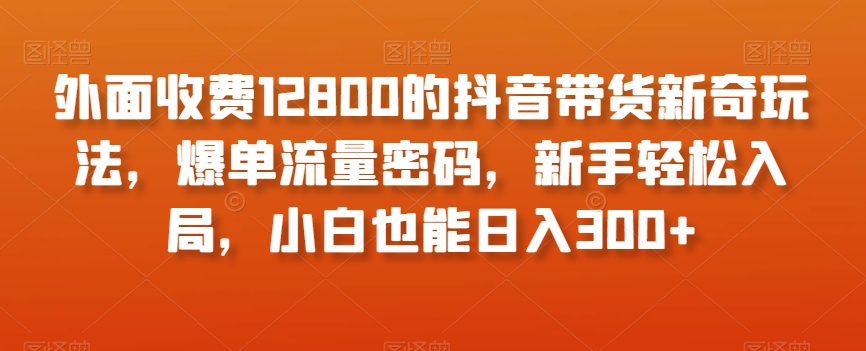 外面收费12800的抖音带货新奇玩法，爆单流量密码，新手轻松入局，小白也能日入300+【揭秘】-葛仙仙资源库
