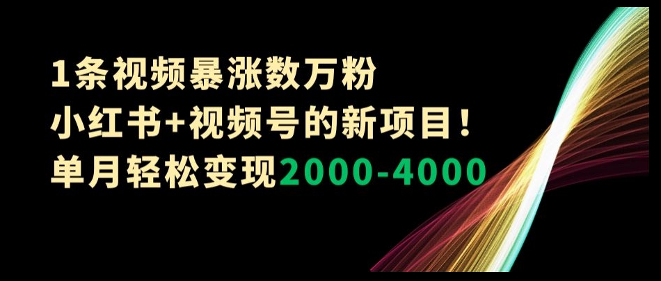 1条视频暴涨数万粉–小红书+视频号的新项目！单月轻松变现2000-4000【揭秘】-葛仙仙资源库