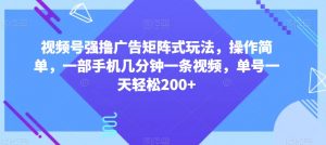 视频号强撸广告矩阵式玩法,操作简单,一部手机几分钟一条视频,单号一天轻松200+【揭秘】-葛仙仙资源库