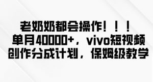 老奶奶都会操作,新平台无脑操作,单月40000+,vivo短视频创作分成计划【揭秘】-葛仙仙资源库