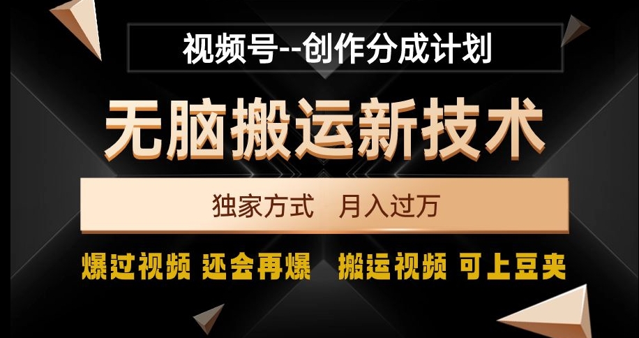 视频号无脑搬运新技术，破原创壕流量，独家方式，爆过视频，还会再爆【揭秘】-葛仙仙资源库