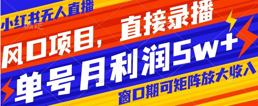 风口项目，小红书无人直播带货，直接录播，可矩阵，月入5w+【揭秘】-葛仙仙资源库