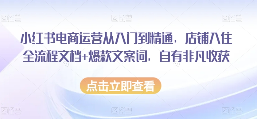 小红书电商运营从入门到精通，店铺入住全流程文档+爆款文案词，自有非凡收获-葛仙仙资源库