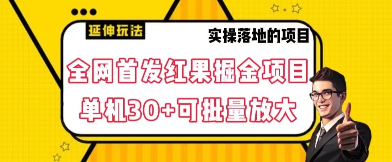 全网首发红果免费短剧掘金项目，单机30+可批量放大【揭秘】-葛仙仙资源库