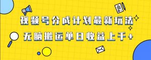 视频号最新爆火赛道玩法，只需无脑搬运，轻松过原创，单日收益上千【揭秘】-葛仙仙资源库