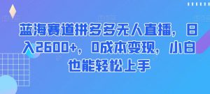 蓝海赛道拼多多无人直播,日入2600+,0成本变现,小白也能轻松上手【揭秘】-葛仙仙资源库