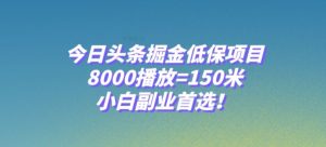 今日头条掘金低保项目，8000播放=150米，小白副业首选【揭秘】-葛仙仙资源库