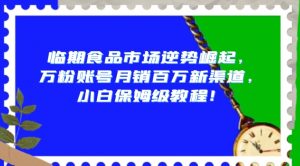 临期食品市场逆势崛起,万粉账号月销百万新渠道,小白保姆级教程【揭秘】-葛仙仙资源库