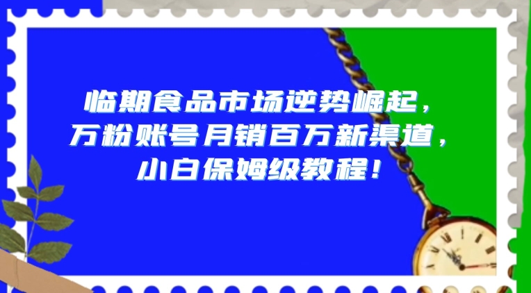 临期食品市场逆势崛起，万粉账号月销百万新渠道，小白保姆级教程【揭秘】-葛仙仙资源库