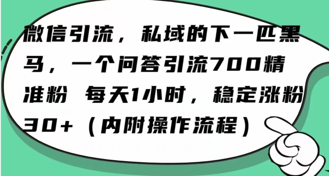 怎么搞精准创业粉？微信新赛道，每天一小时，利用Ai一个问答日引100精准粉-葛仙仙资源库