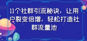 11个社群引流秘诀，让用户裂变倍增，轻松打造社群流量池-葛仙仙资源库