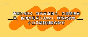 男粉计划6.0,每天发发图片,引流精准男粉,被动变现月入8000+,喂饭式教学,小白无脑复制操作即可-葛仙仙资源库